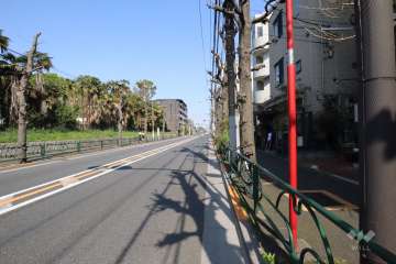 敷地北側の前面道路(西側から)