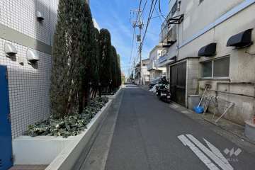 敷地南側の前面道路（西側から）