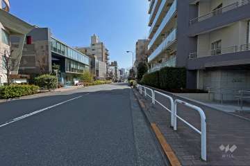 敷地東側の前面道路（北側から）