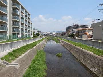 敷地の東側は駄六川に面しています。