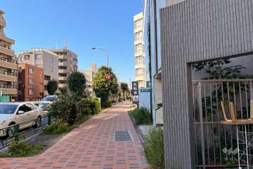 敷地西側の前面道路（南側から）