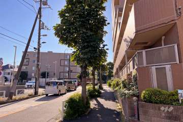 敷地南側の前面道路（東側から）
