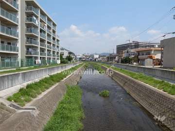 敷地の東側は駄六川に面しています。