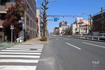 敷地南東側の前面道路(南西側から)