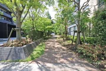 敷地北西側の前面道路(側から)