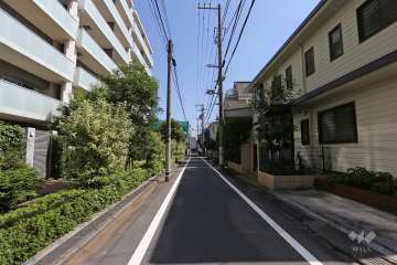 敷地の南側前面道路（西側から）