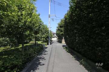 敷地の東側前面道路（北側から）