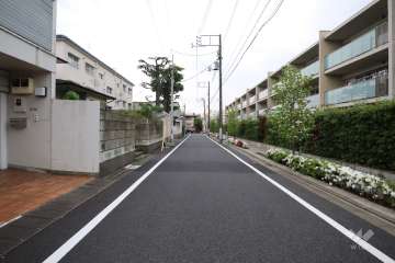 敷地南側の前面道路（東側から）