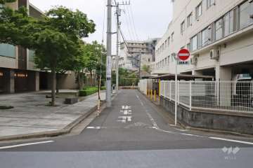敷地北側の前面道路（東側から）