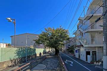 敷地北側の前面道路（西側から）