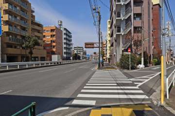 敷地西側の前面道路(南側から)