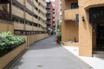 敷地南側の前面道路(東側から)