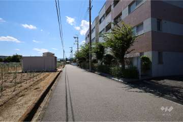 敷地南側の前面道路（東側から）