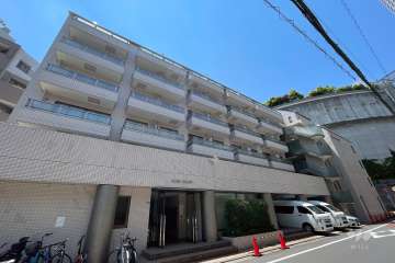 フラッツ大橋の外観（東側から）