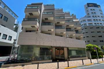 フラッツ大橋の外観（北西側から）