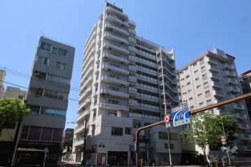 日興パレス東山の外観(東側から)