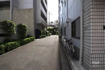 敷地南東側の前面道路(南西側から)