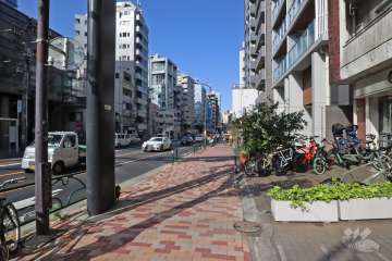 敷地北側の前面道路(西側から)