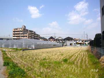 敷地の西側には田畑が広がっています。