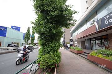 敷地北東側の前面道路