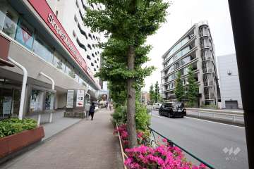 敷地北側の前面道路