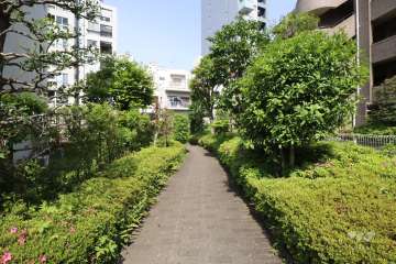 敷地北西側の通路(南西側から)