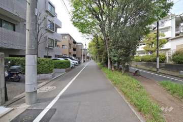 敷地北東側の前面道路(北南東側から)