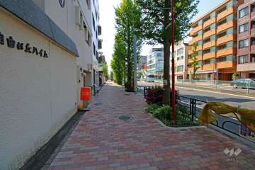 敷地北側の前面道路（東側から）