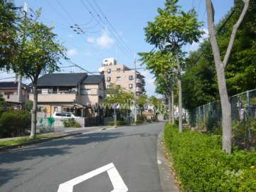 敷地東側の前面道路。周辺は住宅の他、田畑も多く、のどかです。
