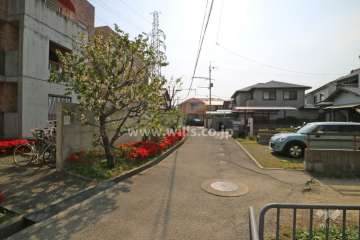 敷地北側の前面道路