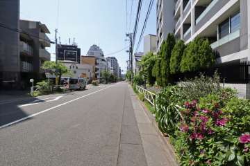 敷地東側の前面道路（北側から）