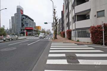 敷地南側の前面道路(東側から)