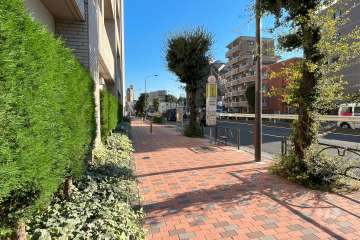 敷地西側の前面道路（北側から）
