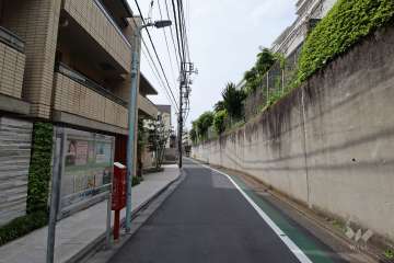 敷地北東側の前面道路(南東側から)