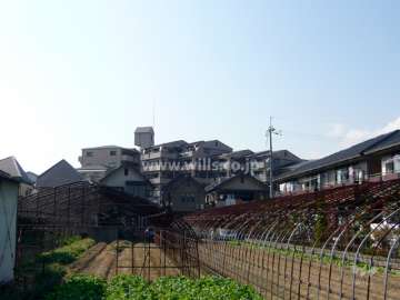 マンション遠景