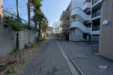 敷地北側の前面道路（西側から）