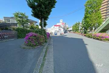 敷地東側の前面道路