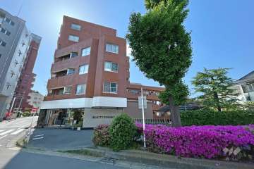 シャンボール柿の木坂の外観(東側から）