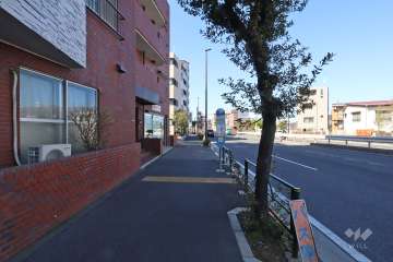 敷地東側の前面道路(北側から)