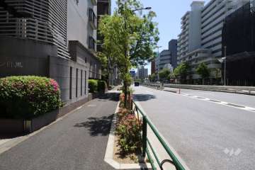 敷地南西側の前面道路