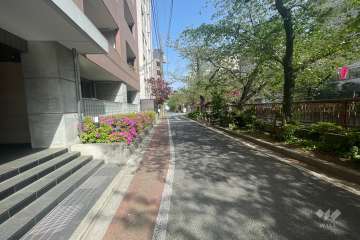 敷地南側の前面道路（西側から）