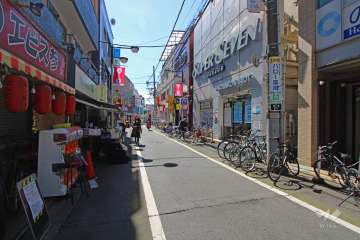 敷地側の前面道路（北側から）