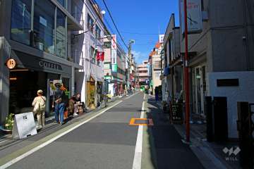 敷地側の前面道路（南側から）