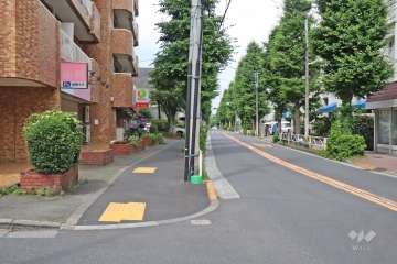 敷地南東側の前面道路