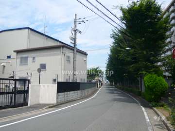 周辺の街並み（街路樹のきれいな通りです）