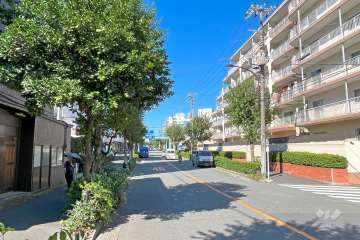 敷地南西側の前面道路（南東側から）