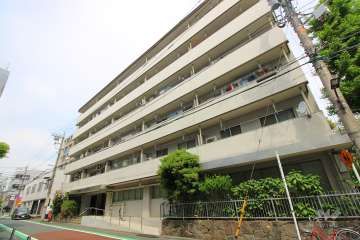 ミニカムマンションの外観（南東側から）