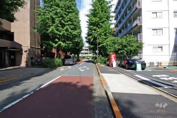 敷地南側の前面道路(東側から)