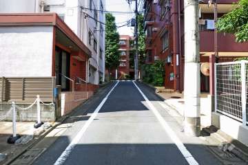 敷地西側の前面道路(北側から)