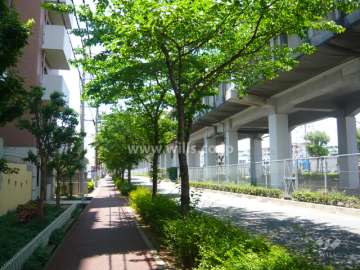 街路樹がきれいな北側前面道路。道を挟んで北側には新幹線が走っています。